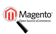 Magento Development