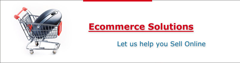 E-commerce Web Designing