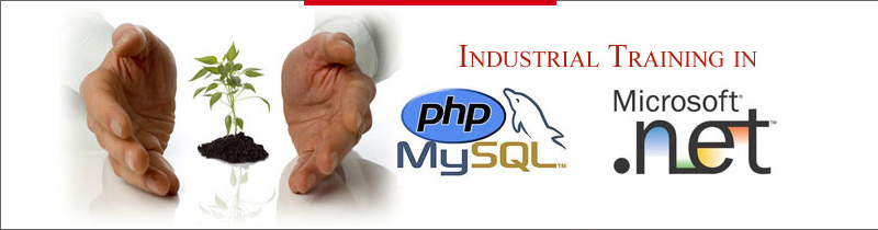 Industrial Training Center in PHP, Asp .Net & SEO